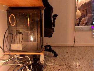 Erotischer Video -Chat amina-west