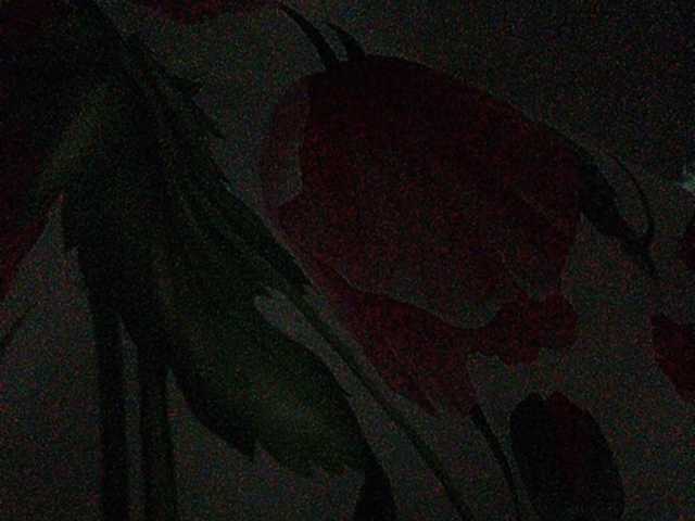 Sendung Screenshots Rosalia_____