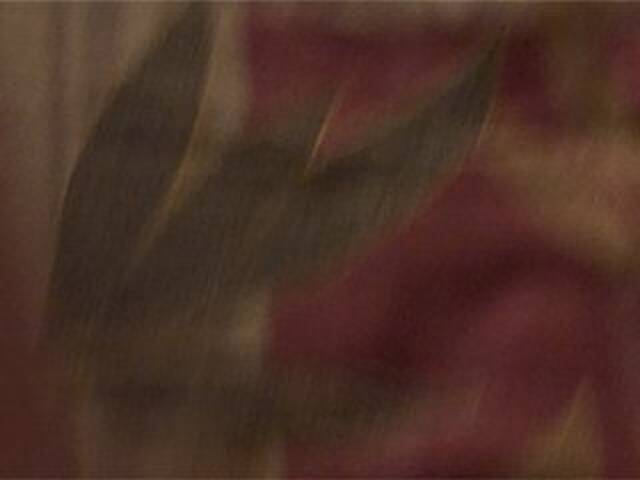 Sendung Screenshots AshaPM