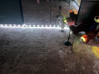 Erotischer Video -Chat -KOCMOC-13