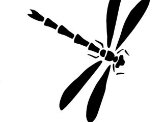 Foto des Profils chicas-sexys