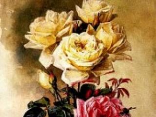 Erotischer Video -Chat cowtitts