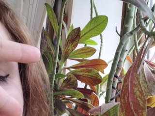 Erotischer Video -Chat Crazycouple8