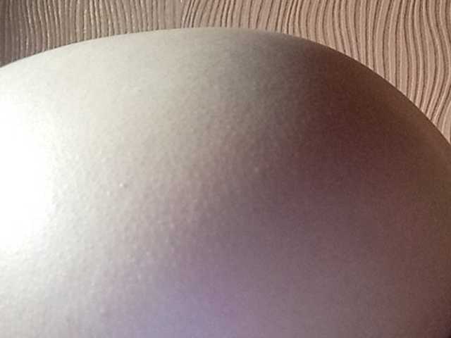 Sendung Screenshots Darinaray777