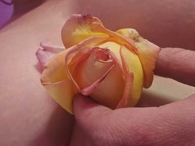 Foto des Profils Delicious-Dahlia