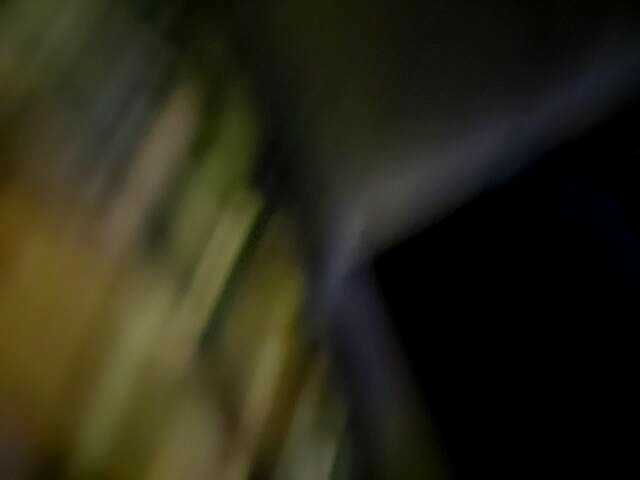 Sendung Screenshots DiiRolla