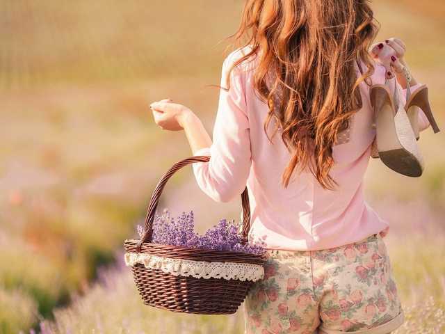 Foto des Profils ellyMiller