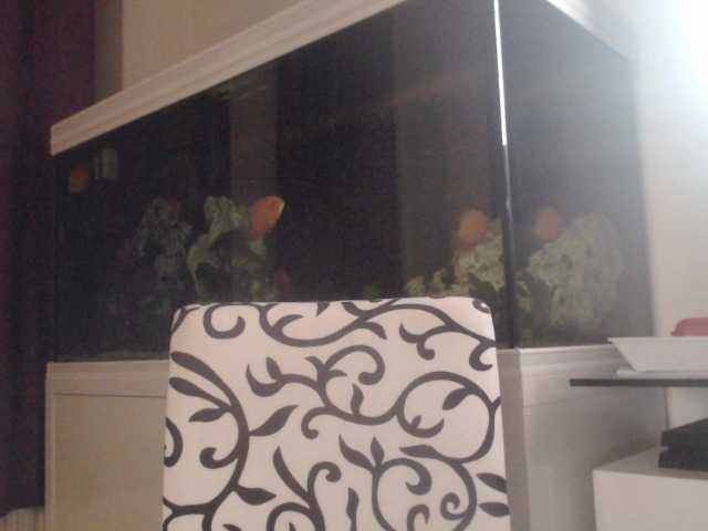 Sendung Screenshots Farahslut