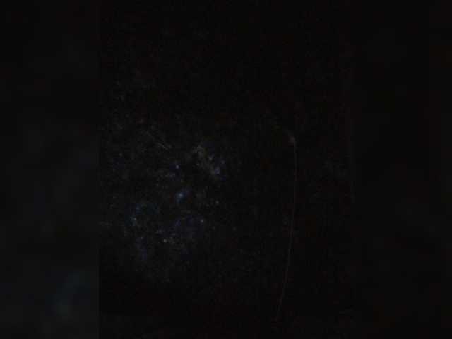 Sendung Screenshots -MiniMartini-