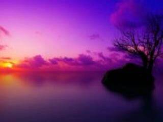 Erotischer Video -Chat florabella