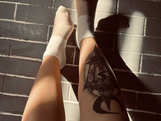 Foto des Profils Fox-Paws