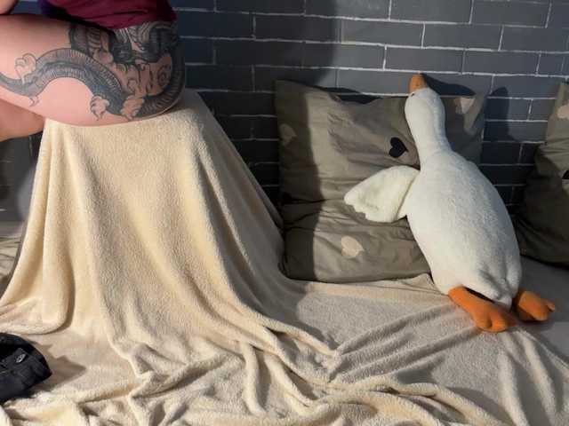 Sendung Screenshots Fox-Paws