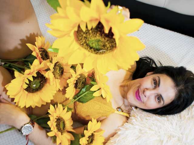 Foto des Profils girasol-walto