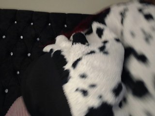 Erotischer Video -Chat Hornyrata