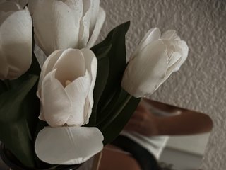 Erotischer Video -Chat ISweetI