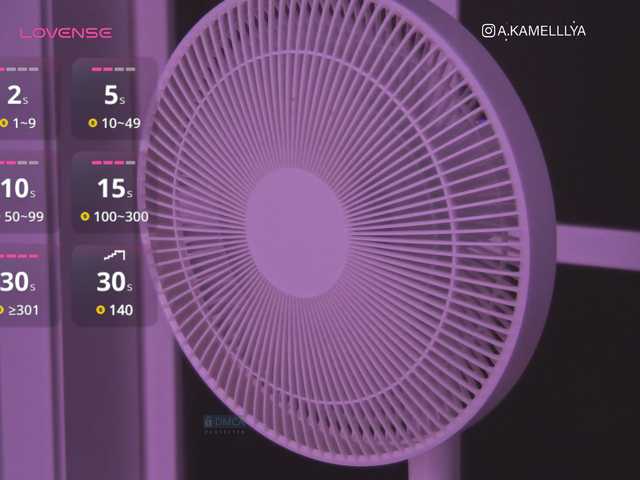 Sendung Screenshots Kamelllya