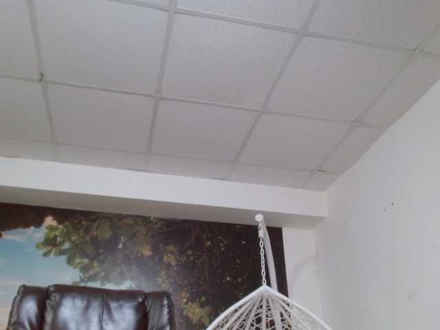 Sendung Screenshots KendallDark