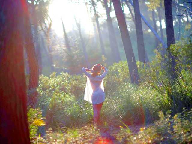Foto des Profils Fiery_Phoenix