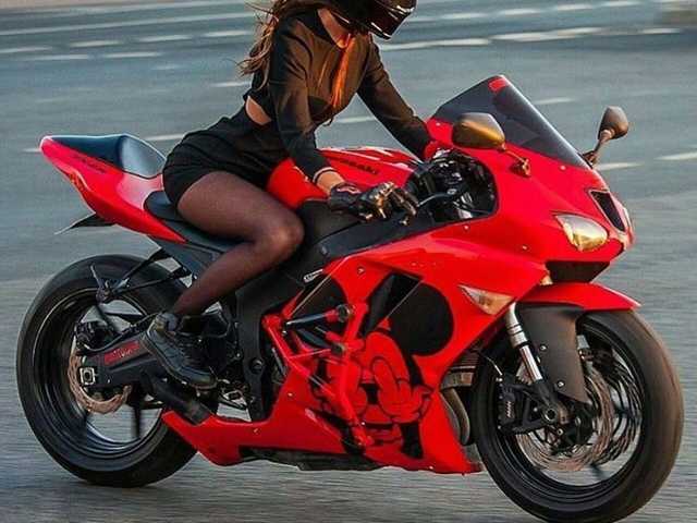 Foto des Profils lovewildguy