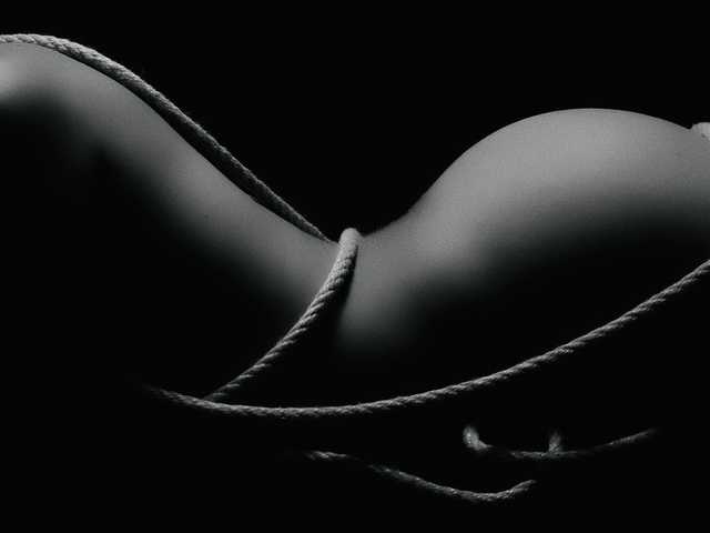 Foto des Profils majoloverroll