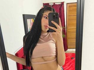 Erotischer Video -Chat Melshofi