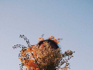 Erotischer Video -Chat Miniiskis