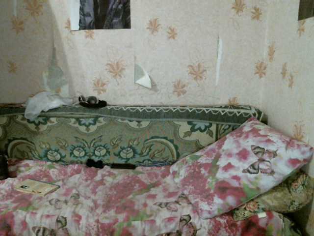 Sendung Screenshots kar0linaa666