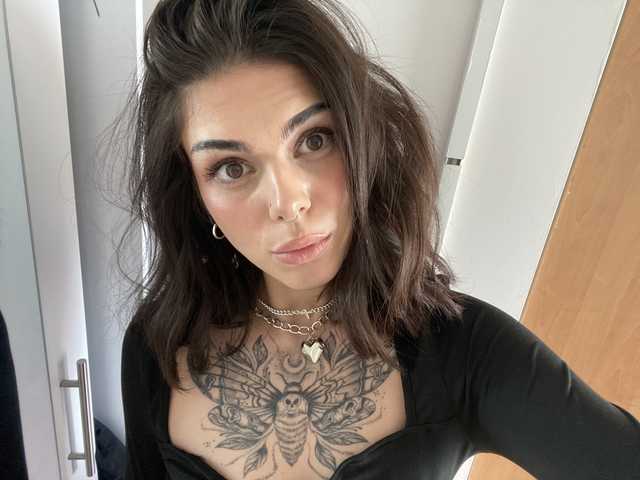 Foto des Profils NovaSin