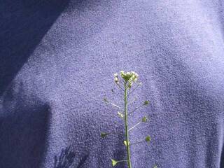 Erotischer Video -Chat Plintusss