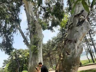 Erotischer Video -Chat PUPI-DEL-REY