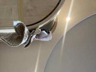 Erotischer Video -Chat Pussynajussy