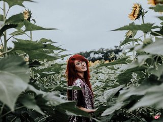 Erotischer Video -Chat pussyxpaladin