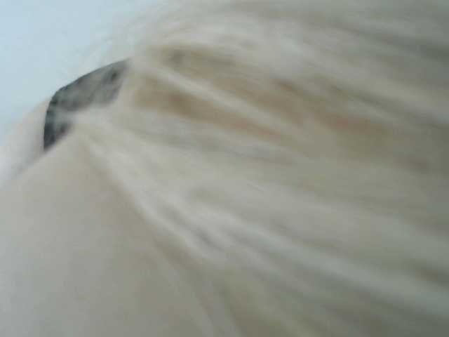 Sendung Screenshots SAASHAA11