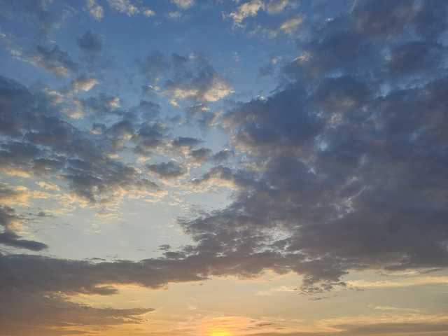 Foto des Profils onehumanbeing