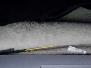 Erotischer Video -Chat sexysapphiresweet