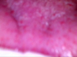 Erotischer Video -Chat Shannon-kane