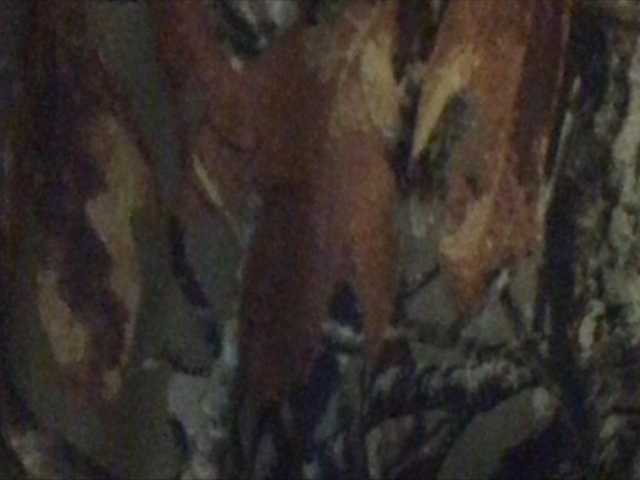 Sendung Screenshots shawtyyredd