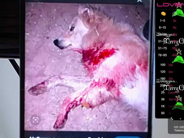 Sendung Screenshots sofiaclaus