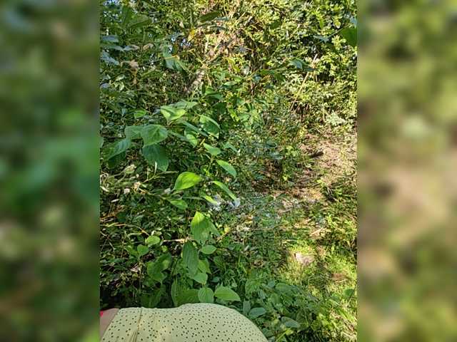 Sendung Screenshots AliceWarren