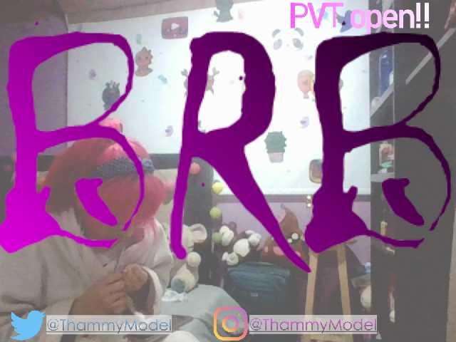 Sendung Screenshots ThammyModell