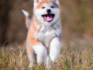 Erotischer Video -Chat Val309a