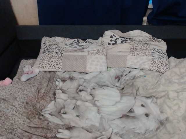 Sendung Screenshots VikiMax69