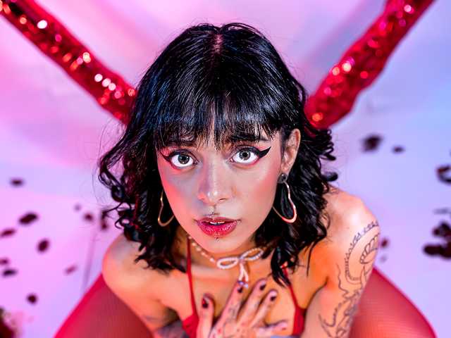 Foto des Profils Violet-lanee