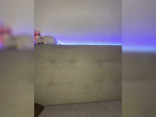 Sendung Screenshots Wulka